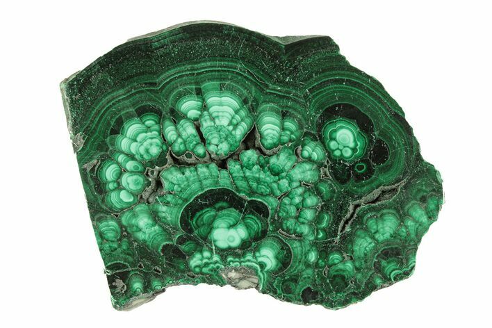 Flowery Polished Malachite Slab - DR Congo #266821